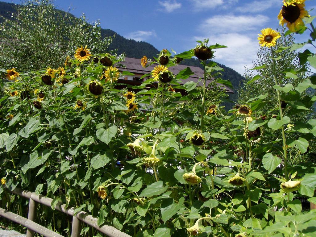 Hotel La Locanda Pinzolo Ngoại thất bức ảnh
